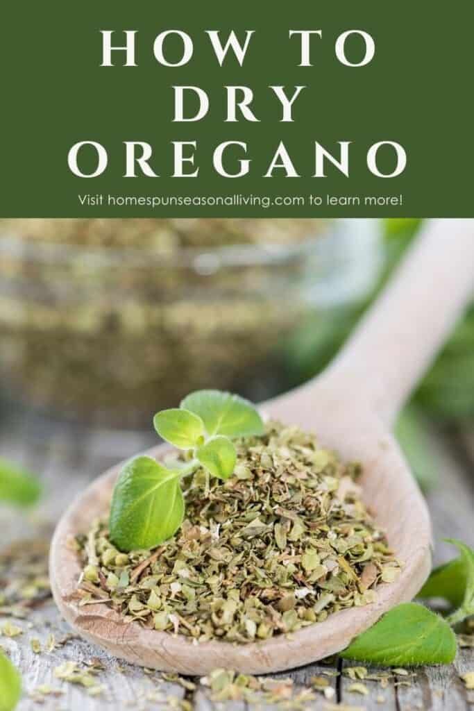 a wooden spoon filled with oregano on top of a table