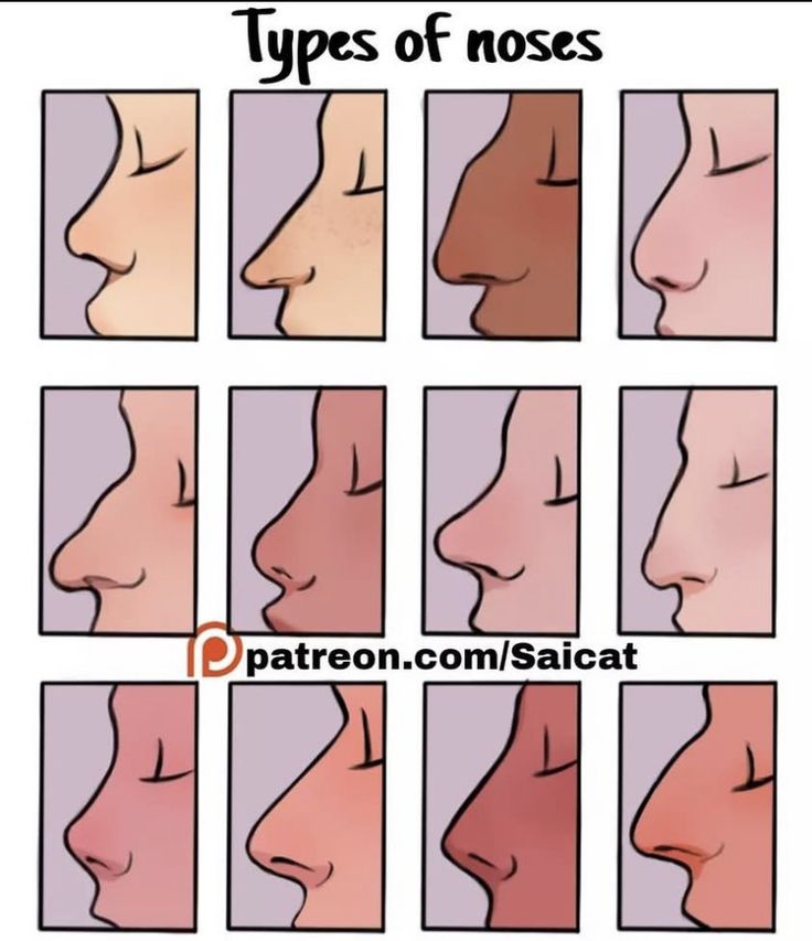 different types of nose shapes and how to use them