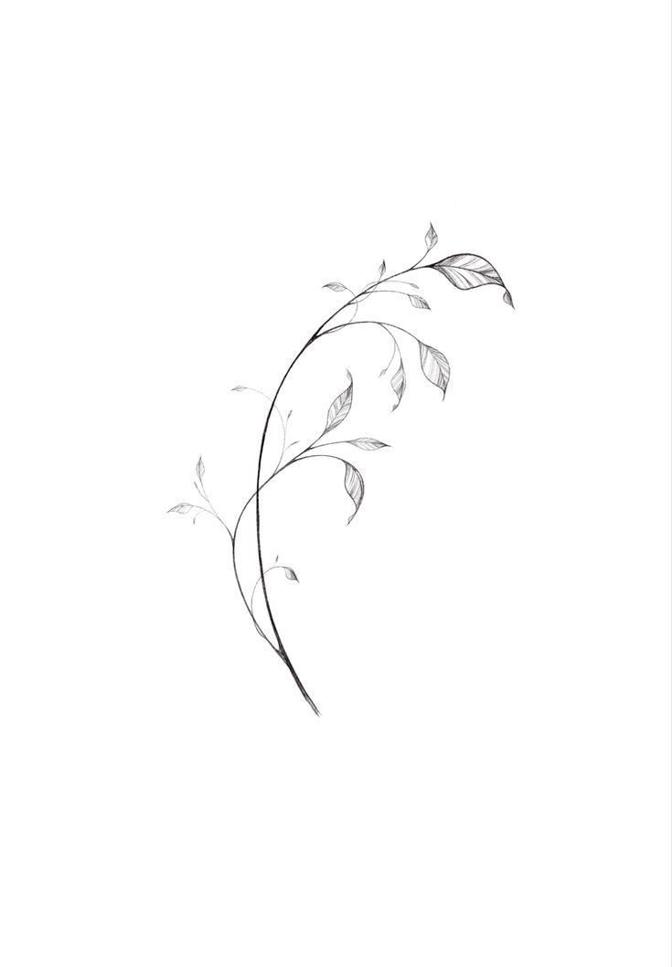 Delicate Vine Tattoo, Stem Tattoo Leaves, Boho Flower Tattoo, Branch With Flowers Tattoo, Single Line Chrysanthemum Tattoo, Fine Line Branch Tattoo, Vine Fine Line Tattoo, Dainty Vine Tattoo, Fine Line Floral Vine Tattoo