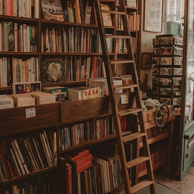 a ladder leaning up against a bookshelf filled with books