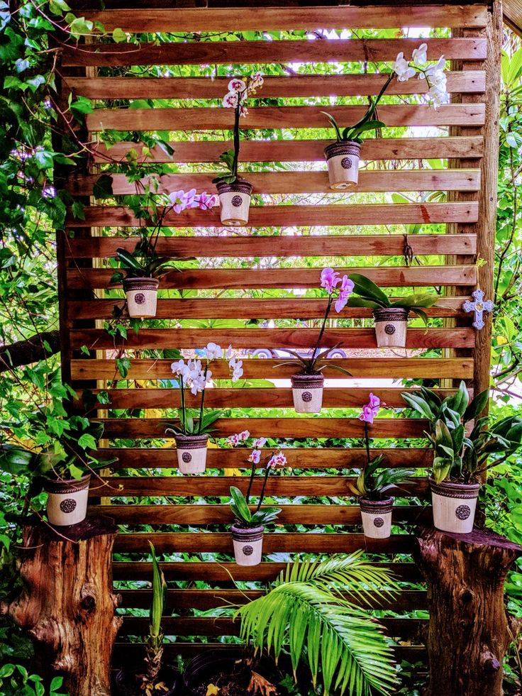 several potted orchids are arranged on a wooden trellis