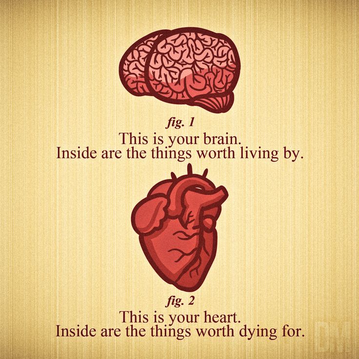 an image of the human brain with two different parts on it, including one in brown and