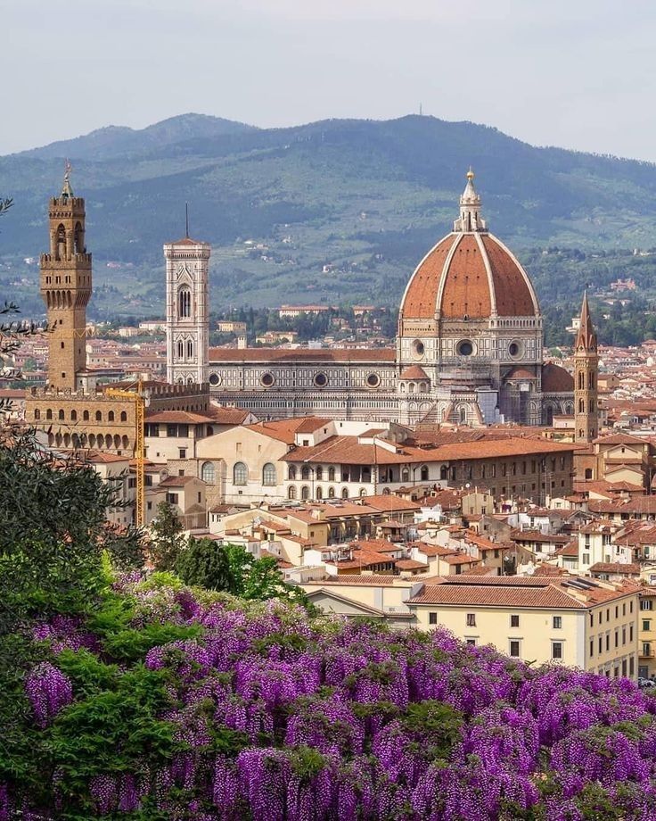 the city is surrounded by purple flowers and hills in the distance, with mountains in the background