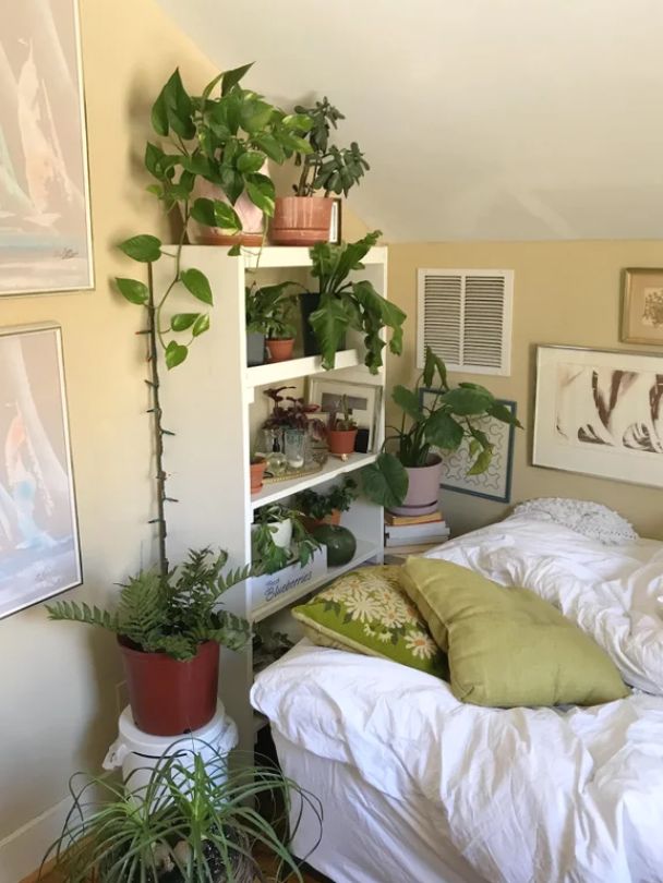 a bedroom with plants and pictures on the wall above the bed, as well as a plant shelf