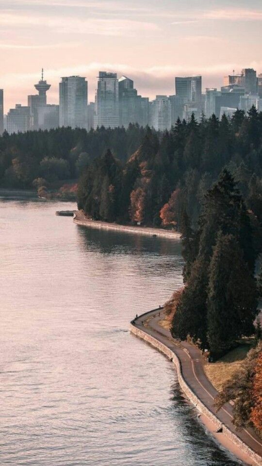 a body of water surrounded by trees in front of a cityscape with tall buildings