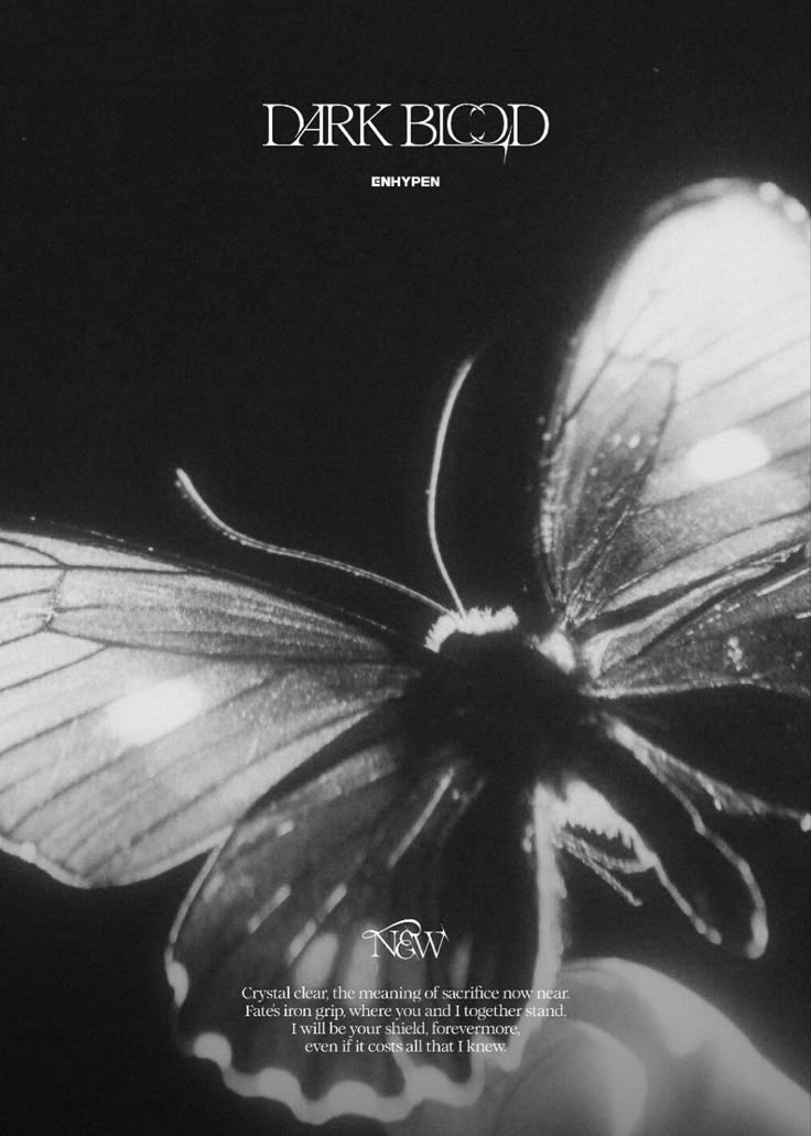 a black and white photo of a butterfly with the words dark blood written on it