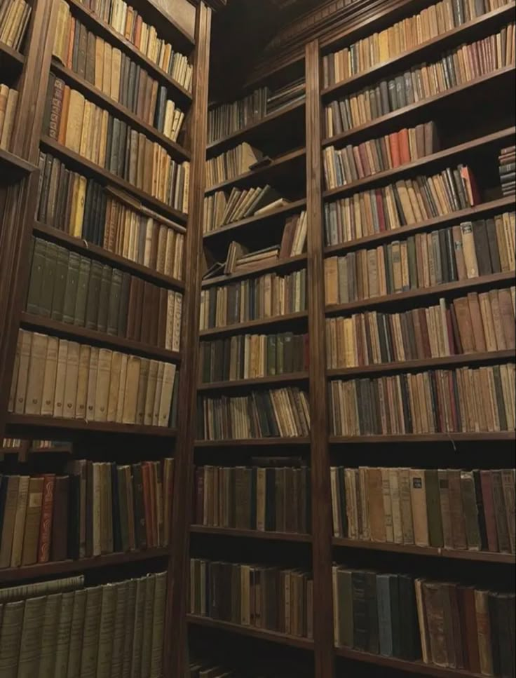 the bookshelves are full of many different types of books and there is no image here to provide a caption for