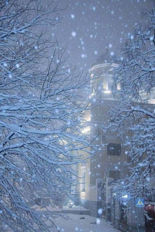 snow falling on trees in front of a building