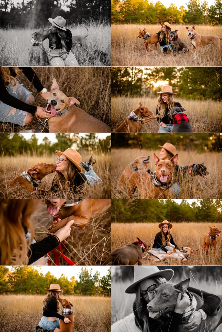 Houston Family + Dog Photographer Person With Dog Photography, Dog Mom Photo Shoot, Pictures With Pets Ideas, Human And Dog Photography, Country Dog Photoshoot, Pet And Me Photoshoot, Doggie Photoshoot Ideas, Fall Pictures With Dog Single, Fall Picture Ideas With Dogs