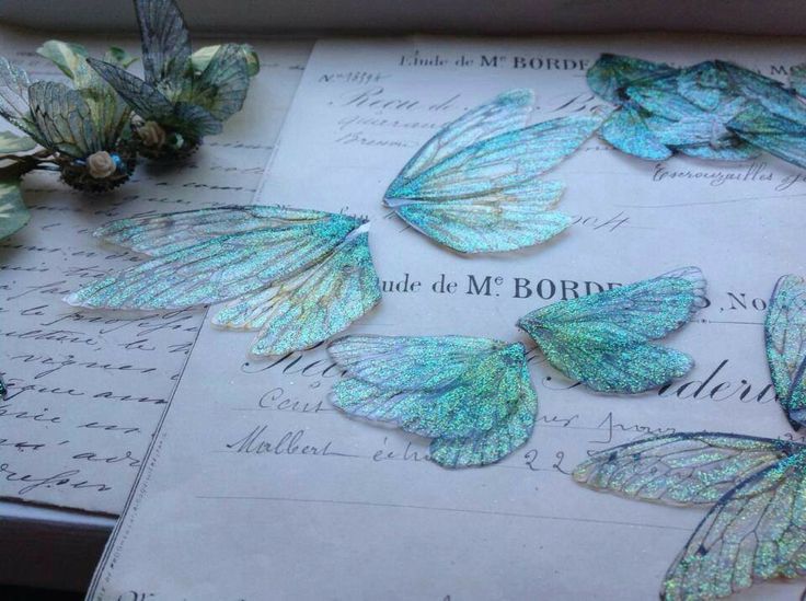 some blue butterflies sitting on top of a piece of paper