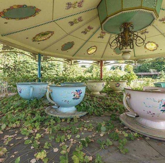 three tea cups sitting under a canopy in the middle of a yard with ivy growing around them