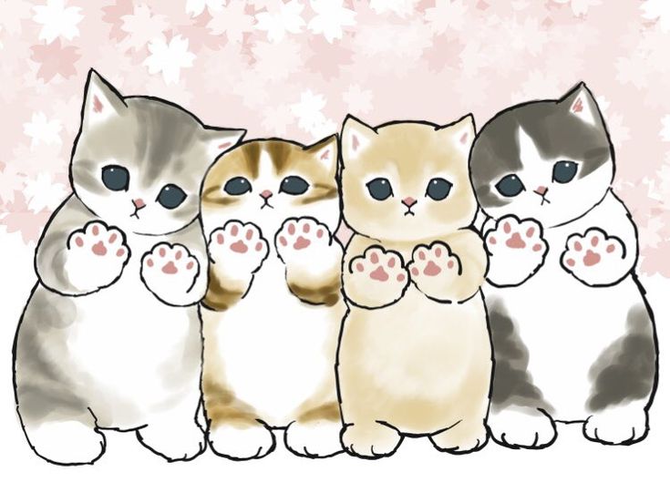 a group of cats sitting next to each other on top of a pink and white background