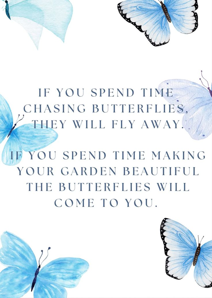 If you spend time chasing butterflies, they will fly away. If you spend time making your garden beautiful the butterflies will come to you. If You Chase Butterflies, Chasing Butterflies Quotes, Don’t Waste Your Time Chasing Butterflies, Butterfly Garden Quote, Don’t Chase Butterflies Quote, Without Change There Would Be No Butterflies, If You Spend Time Chasing Butterflies, Quotes With Butterflies, Quotes About Butterflies