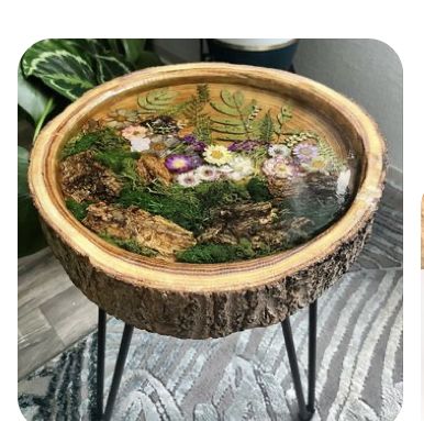 two pictures with plants in them and one has a glass table top on it, the other is a wooden stand