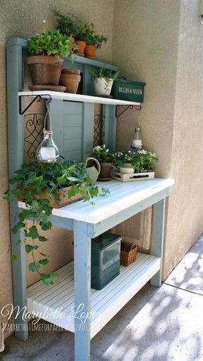 a potted plant on top of a table next to a wall with shelves filled with plants