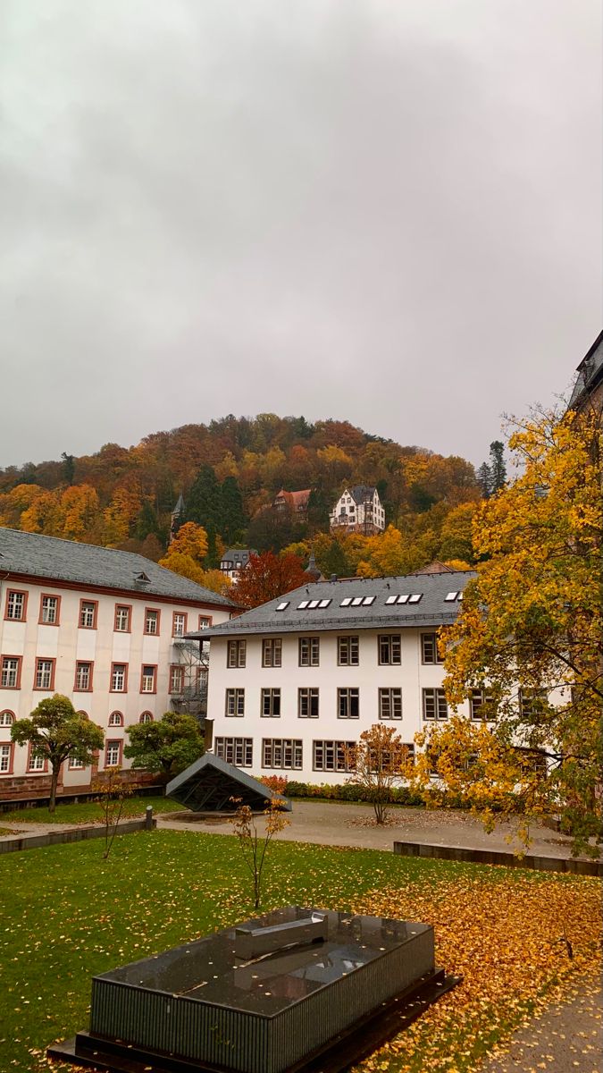 the building is white with many windows and trees in front of it on an overcast day