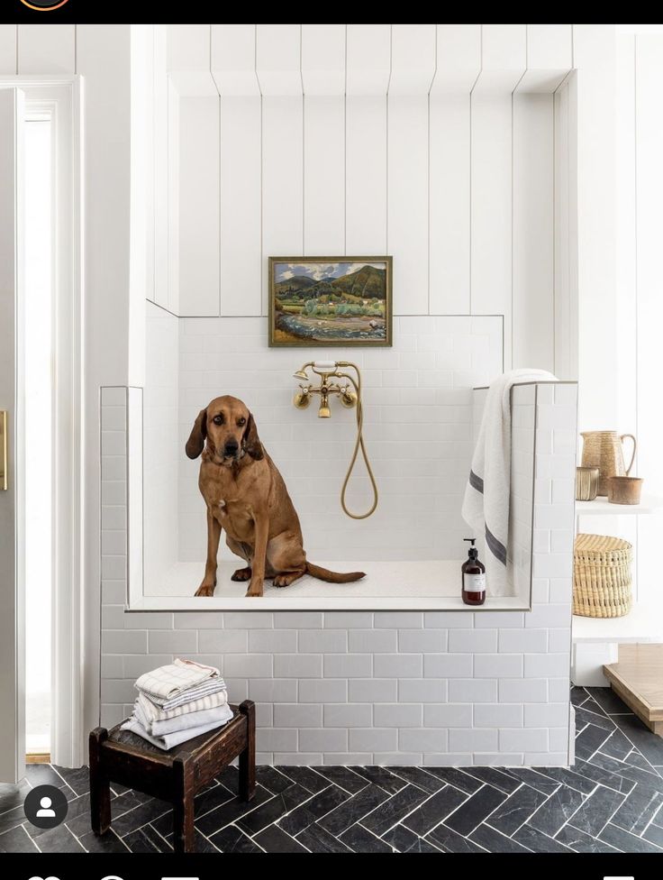 a brown dog sitting on top of a white bath tub next to a wooden stool