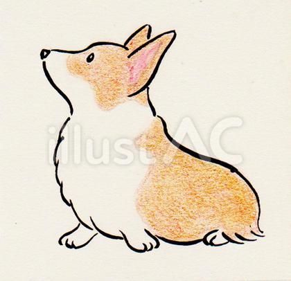 a drawing of a corgi sitting on its hind legs and looking up at the sky