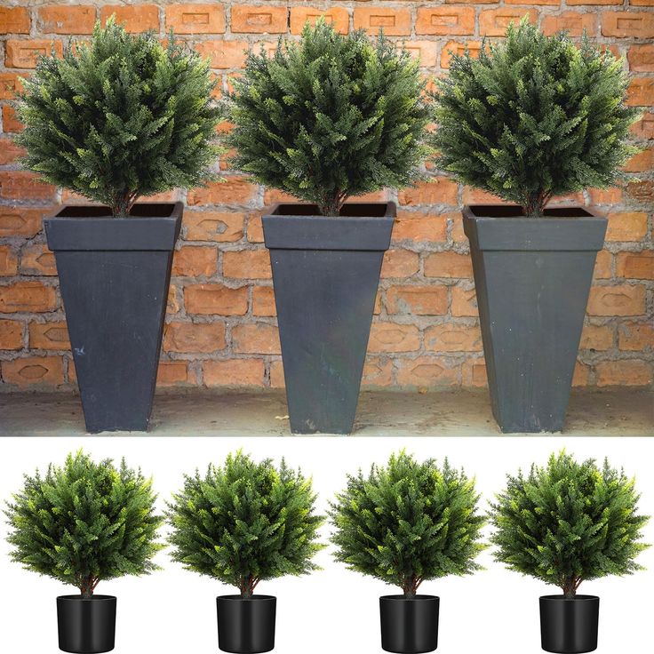 four potted trees are shown in front of a brick wall and below the same planter