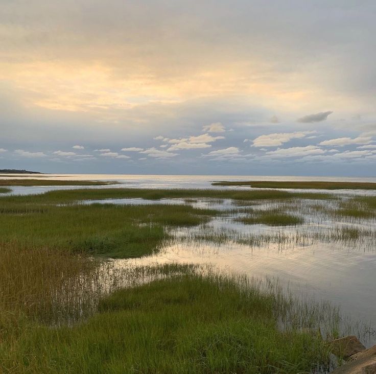 the sky is cloudy and there are some water in the marshy area that has grass growing on it