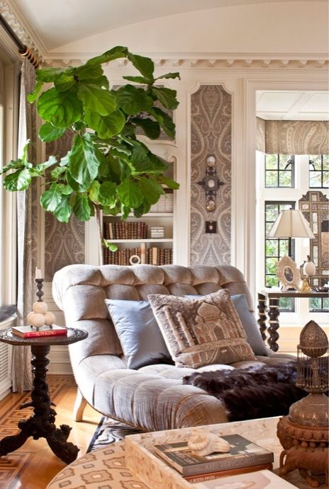 a living room filled with furniture and a large potted plant