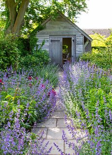 an outhouse in the middle of a garden filled with purple flowers and greenery