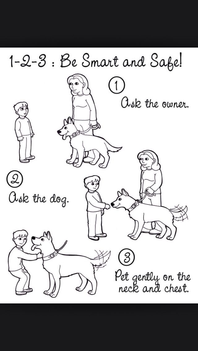 the instructions for how to teach dogs