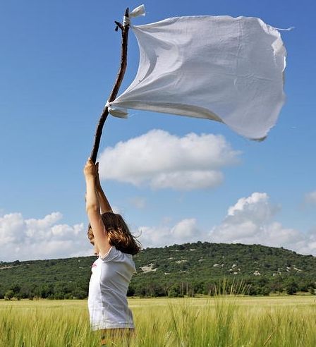 a woman holding up a white flag in a field