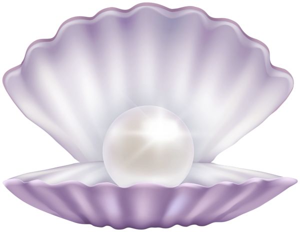 an illustration of a pearl in a shell on a white background with clippings