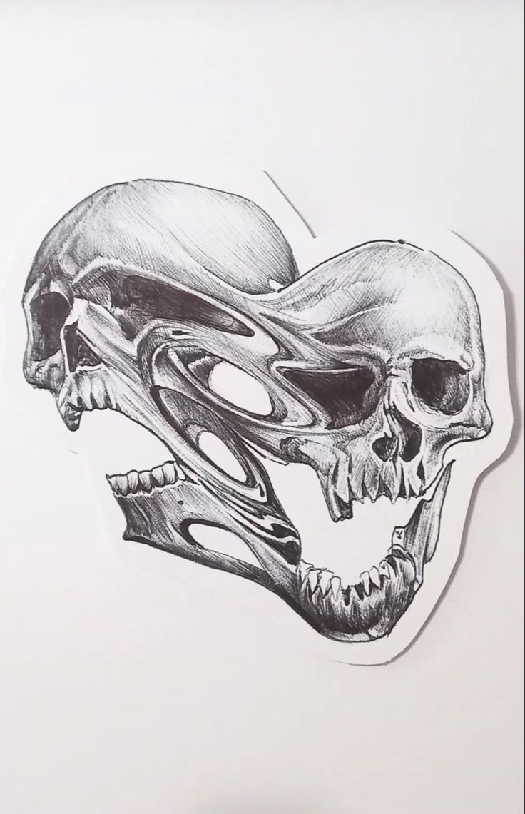 a drawing of a human skull with the lower jaw exposed