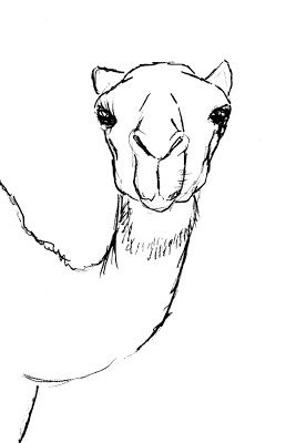 a black and white drawing of a camel