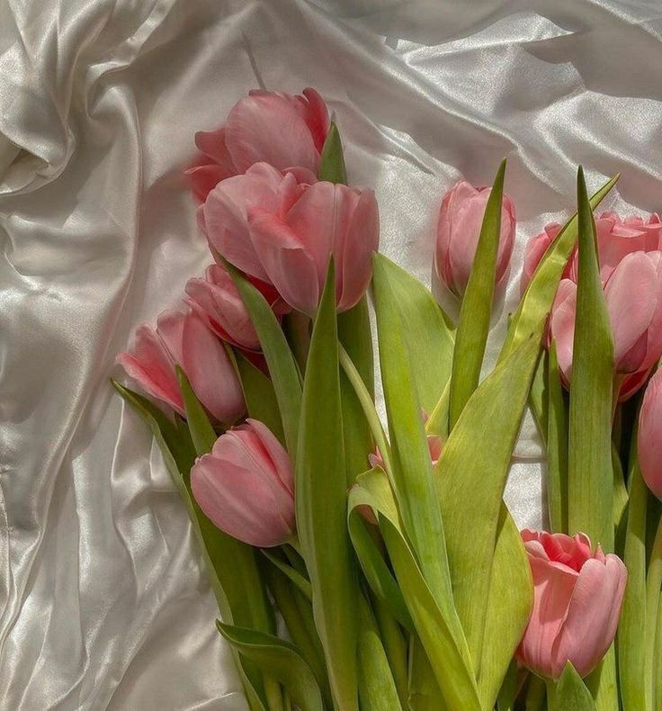 pink tulips are arranged in a bouquet on a white satin sheeted surface