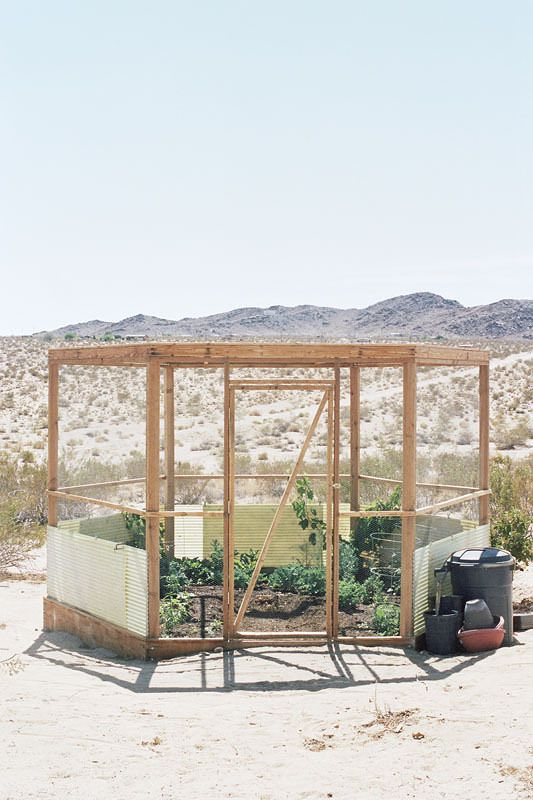 a small wooden structure in the desert with plants growing out of it's sides