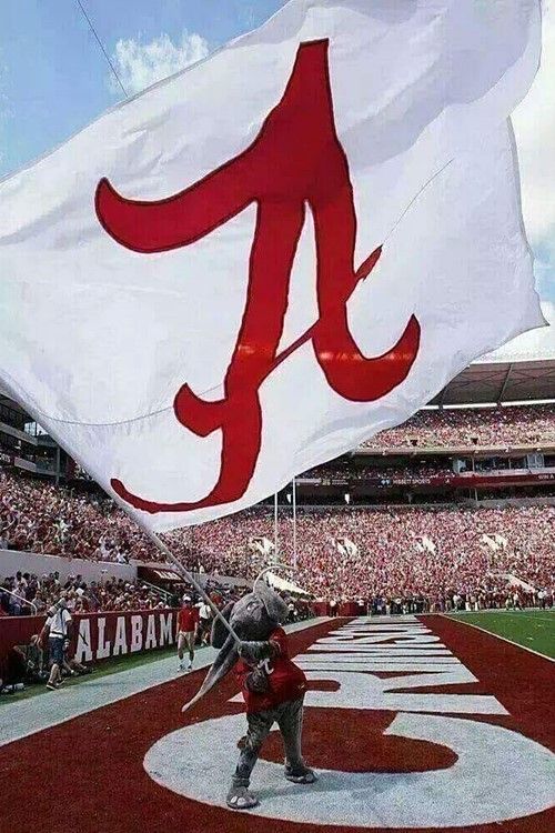 a large flag with the letter a on it in front of a stadium full of people