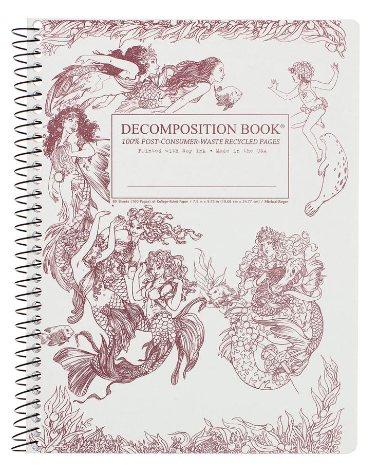 the decompositionion book is shown in red and white, with mermaids on it