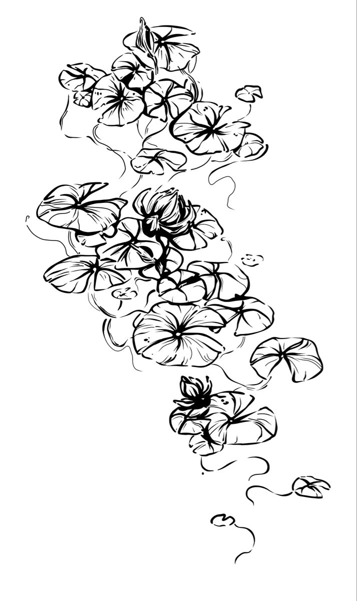 a black and white drawing of flowers