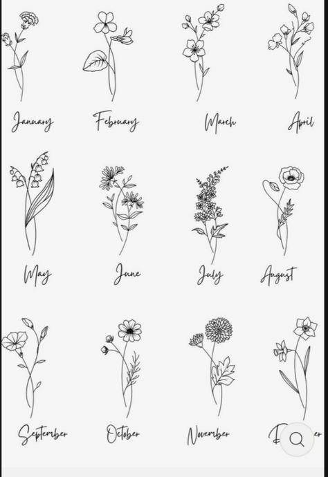 an image of flowers with the names of them