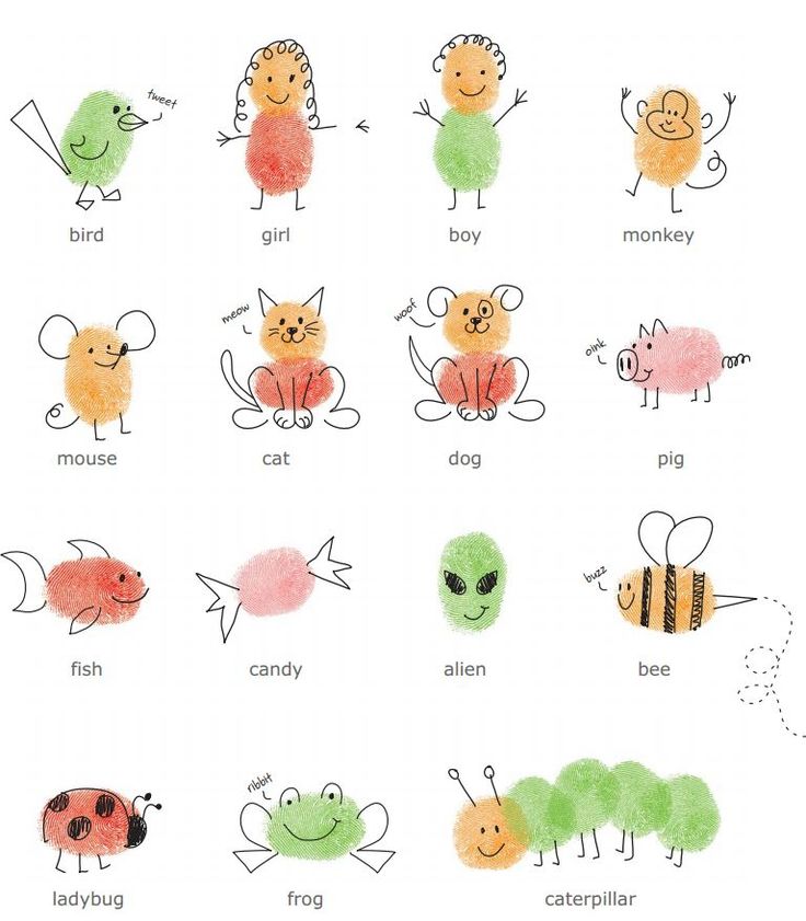 the very many different kinds of bugs and insects