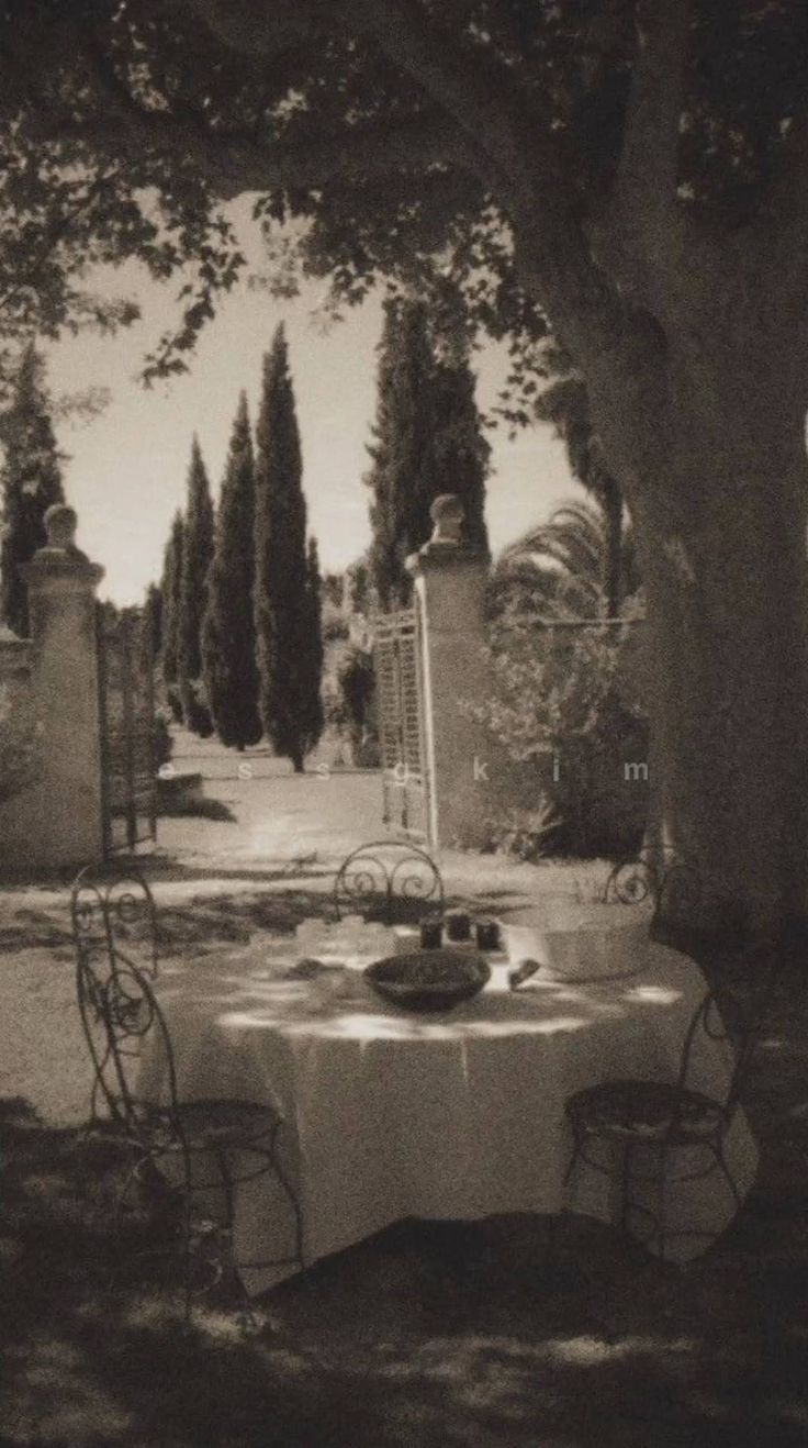 an old photo of a table and chairs under a tree