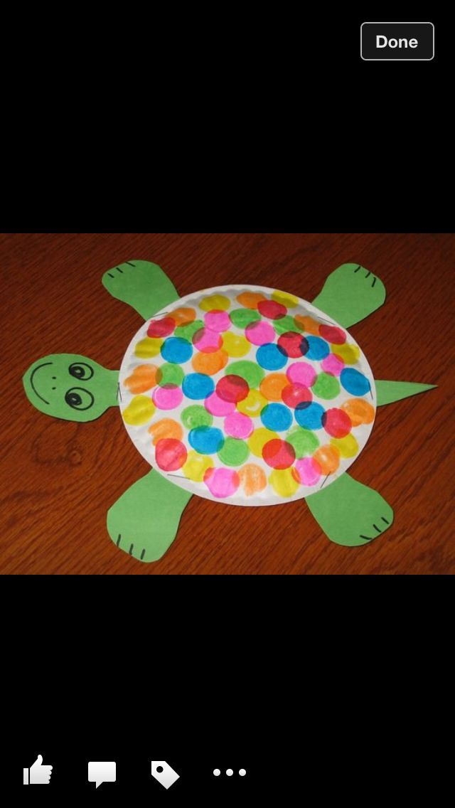 a paper plate with a turtle made out of gummy balls on top of it