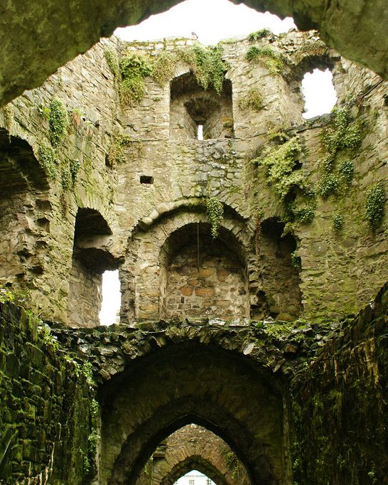 the inside of an old stone building with ivy growing on it