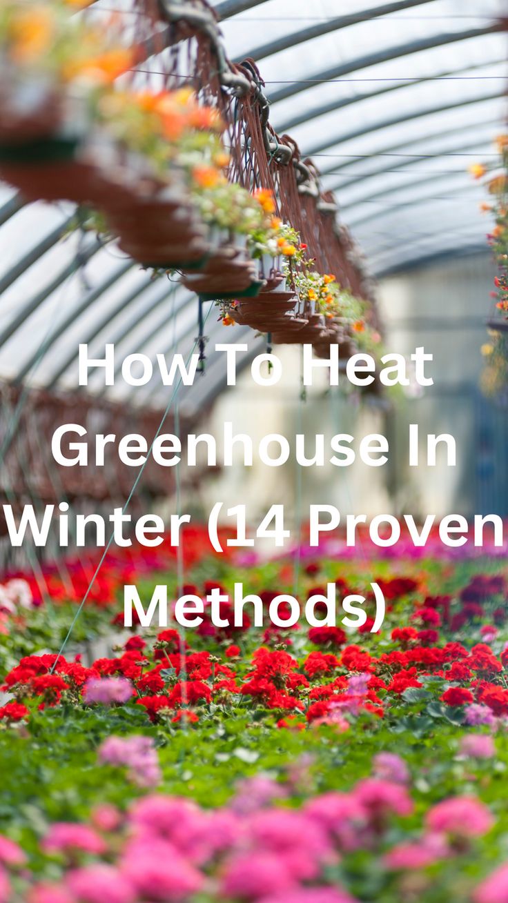 Discover 14 proven methods to heat your greenhouse in winter, ensuring your plants thrive despite the cold. From utilizing solar power to efficient insulation techniques, learn how to create a warm, sustainable environment. Embrace the winter season with confidence, knowing your greenhouse is protected. Find out how to heat your greenhouse in winter and keep your gardening dreams alive all year round with these expert tips and tricks. Green House Conservatory, Heated Greenhouse Winter, Greenhouse Landscape Ideas, How To Prep Garden For Winter, How To Anchor A Greenhouse, Winter Greenhouse Diy, Insulating Greenhouse For Winter, Greenhouse Insulation Ideas, Solar Power Greenhouse