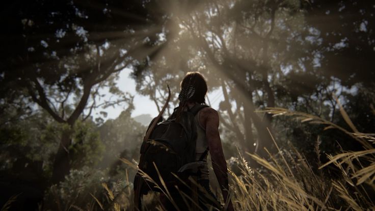 a person with a backpack walking through tall grass in front of trees and sunbeams