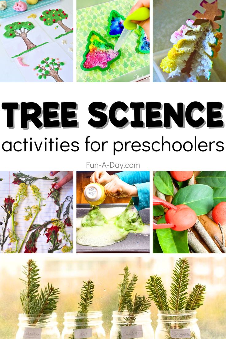 a collage of pictures with the words tree science activities for preschoolers on it