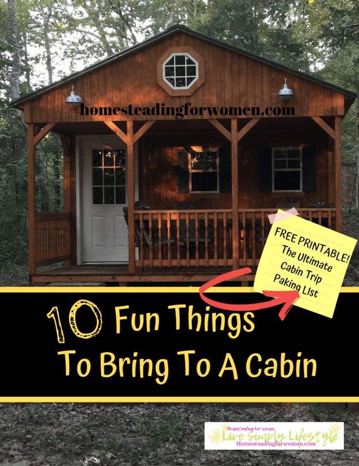 a small cabin with the words 10 fun things to bring to a cabin on it