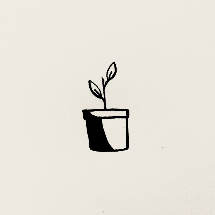 a black and white drawing of a pot with a plant in it's side