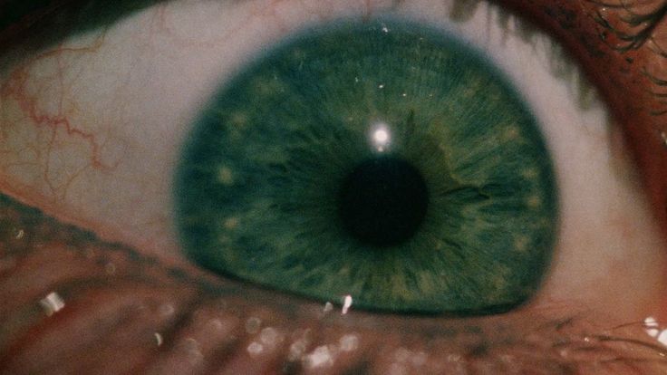 an extreme close up view of the green eye