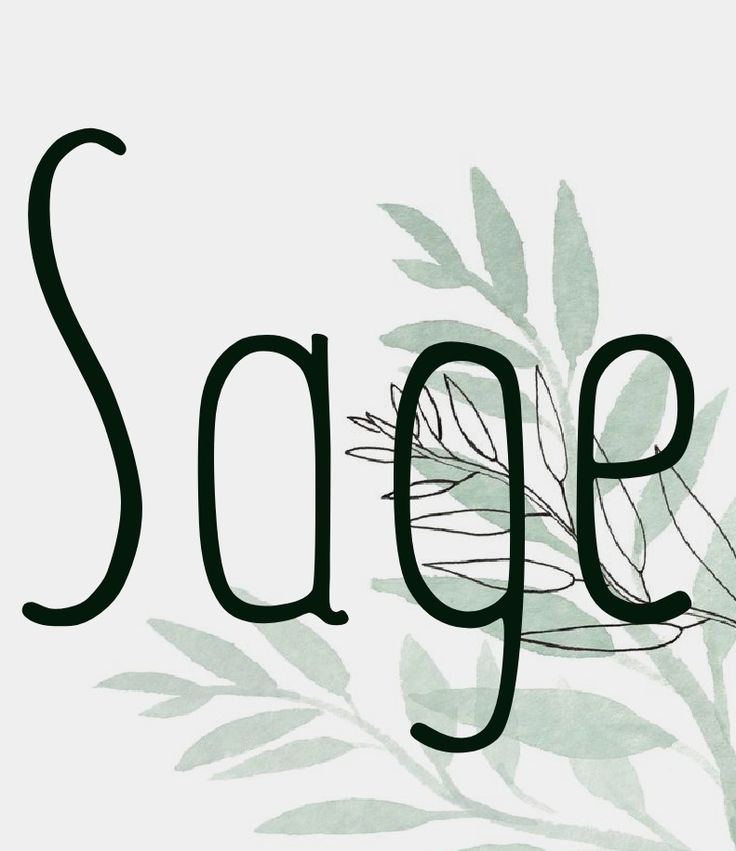 the word sage written in black ink on a white background with green leaves and branches