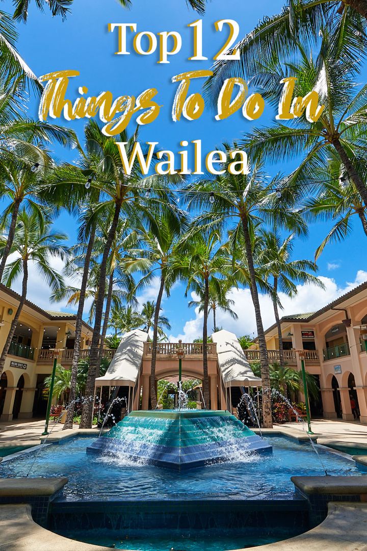 a fountain surrounded by palm trees with the words top 12 things to do in waia