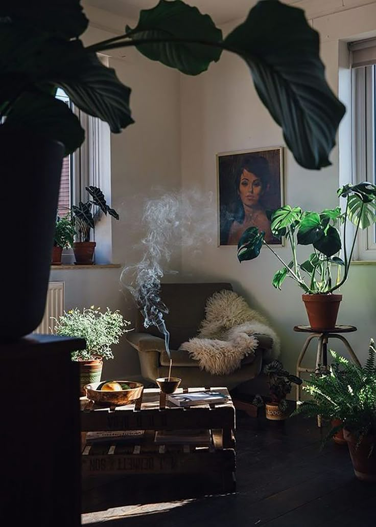 a living room filled with lots of plants and furniture